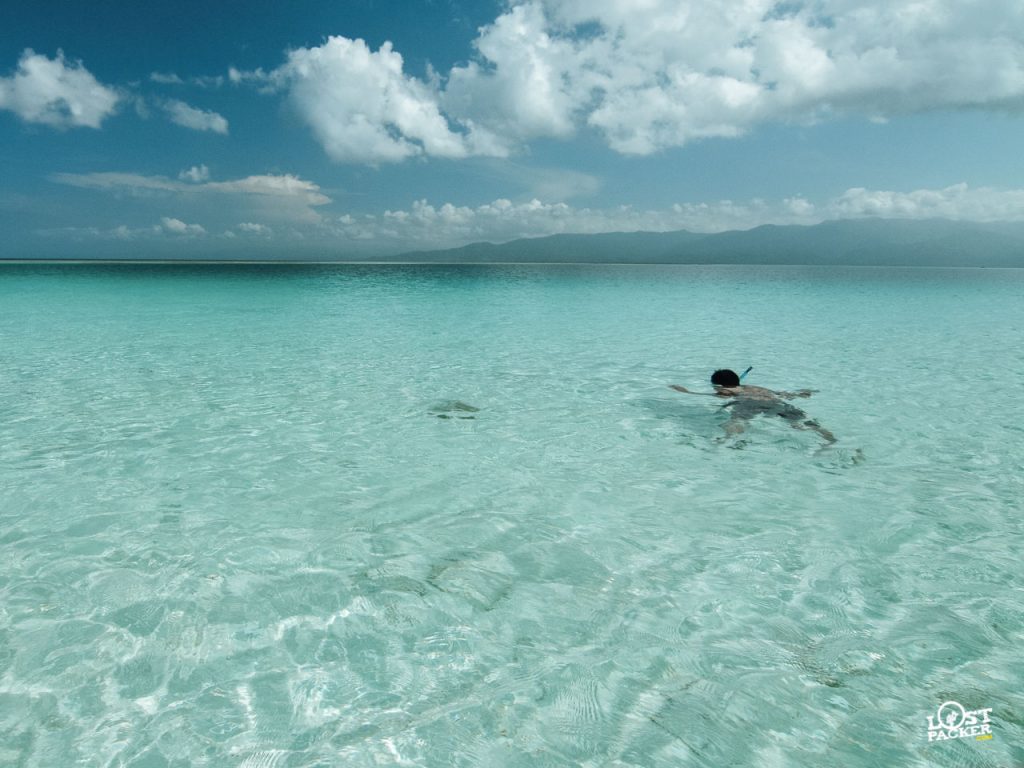 Snorkeling di Pulau Pombo