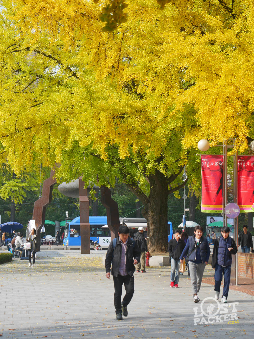 Autumn di Naksan park 
