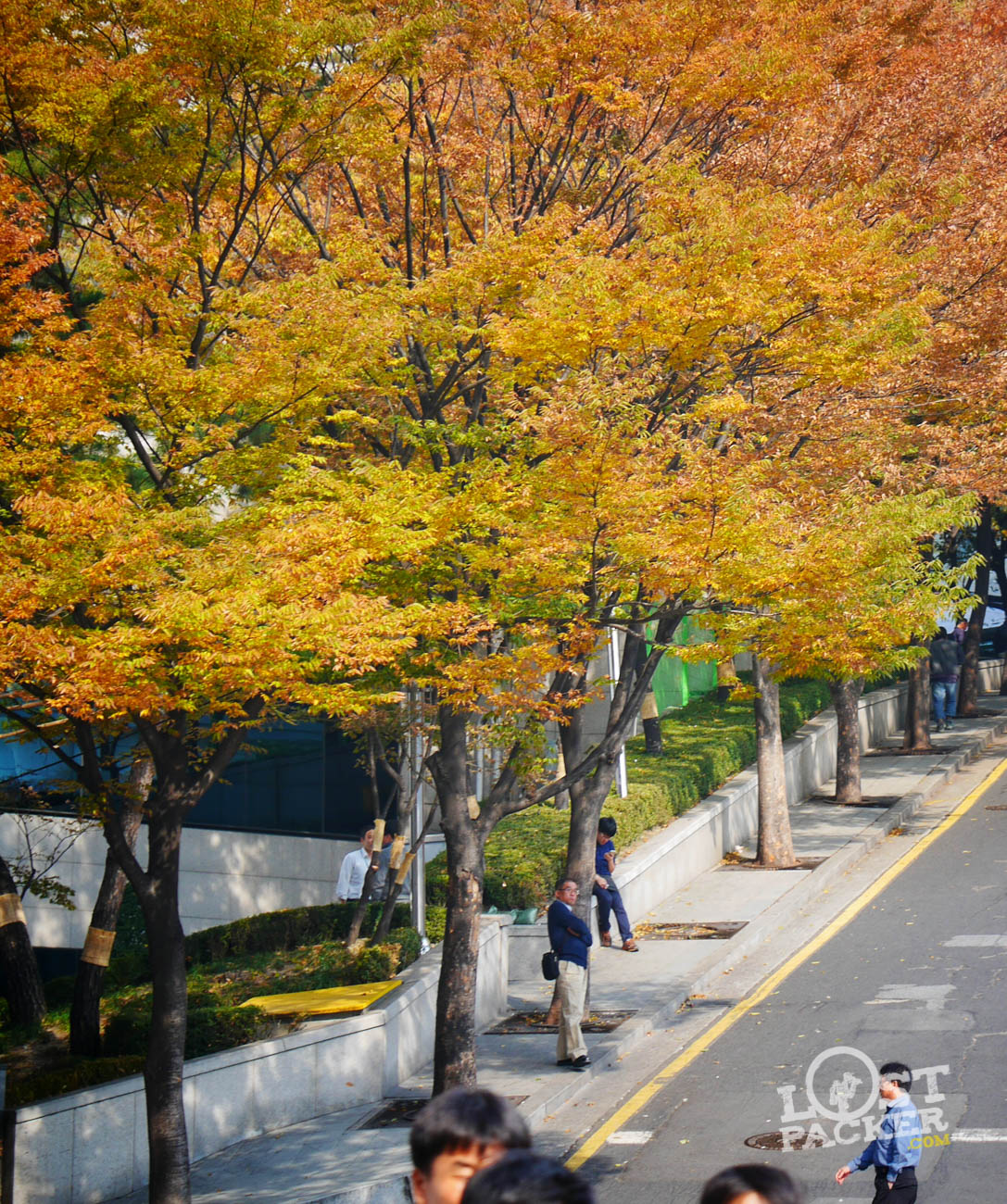 Autumn di Seoul