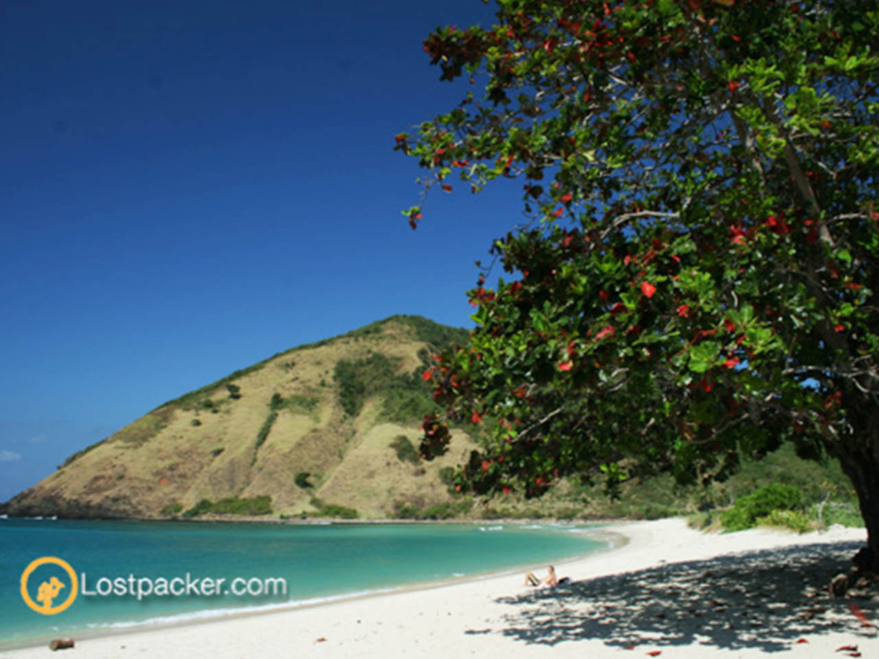 Pantai Mawun Lombok Selatan
